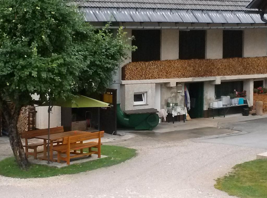 בוהין Apartmaji Matej Cvetek מראה חיצוני תמונה